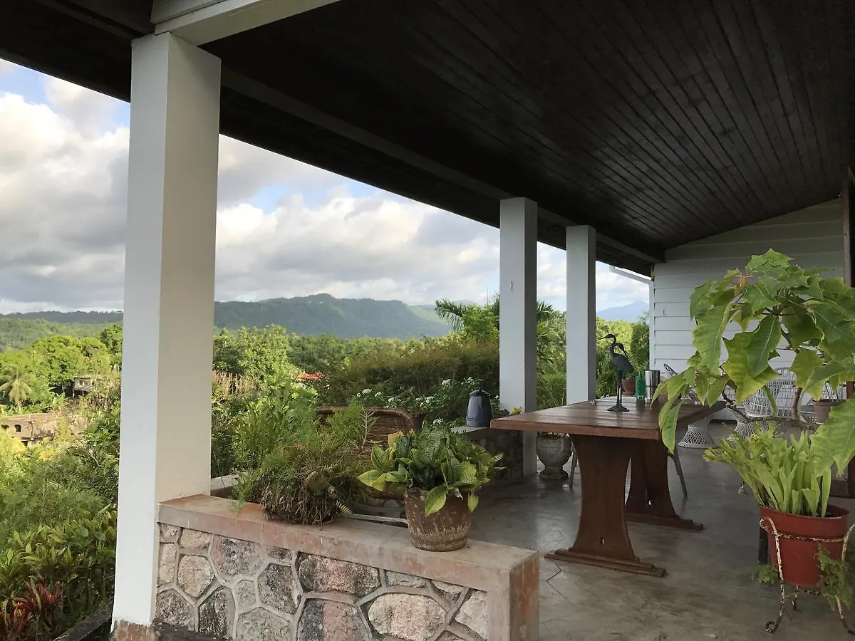Treetops Villa Πορτ Αντόνιο