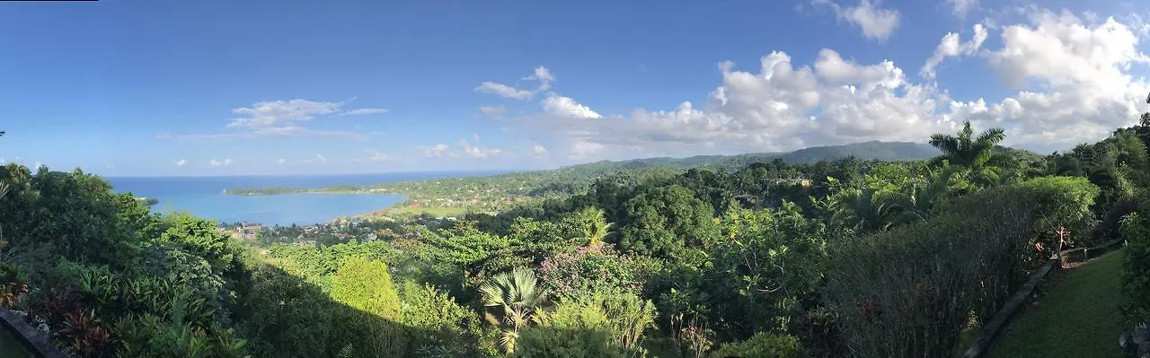 Treetops Villa Πορτ Αντόνιο Τζαμάικα